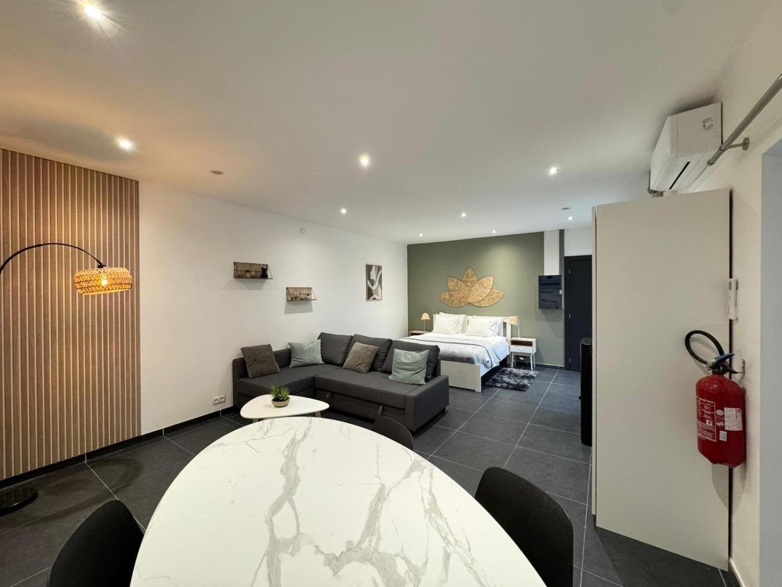 Spacieux Proximite Aeroport Apartment *